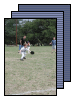 [04-Apr-T-Ball]