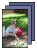 [05-May-Home-Improvement]