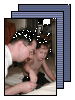 [06-June-Painting-Boy's-Room]