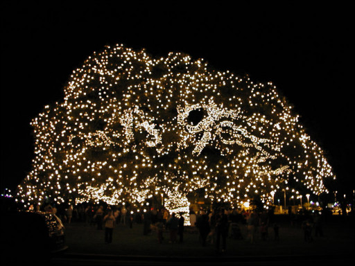 [2001.12.07.0068.sm.jpg]