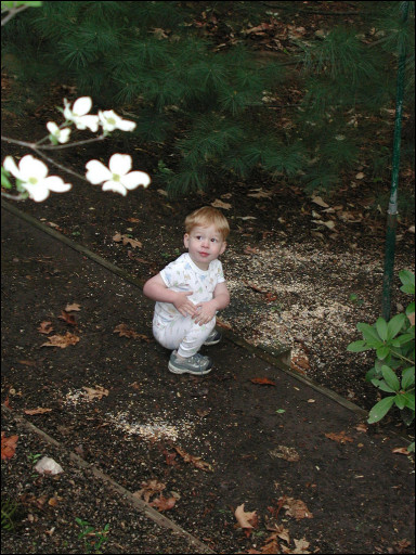 [2002.04.20.0105.sm.jpg]