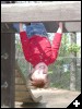 [< previous image]