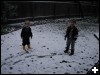 [2003.02.08.0001.sm]