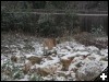 [2003.02.08.0007.sm]