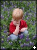[2003.04.04.0047.sm]