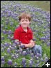 [2003.04.04.0048.sm]
