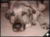 [2003.04.17.0005.sm]