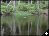 [2003.05.18.0205.sm]