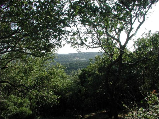 [2004.07.31.0186.sm.jpg]